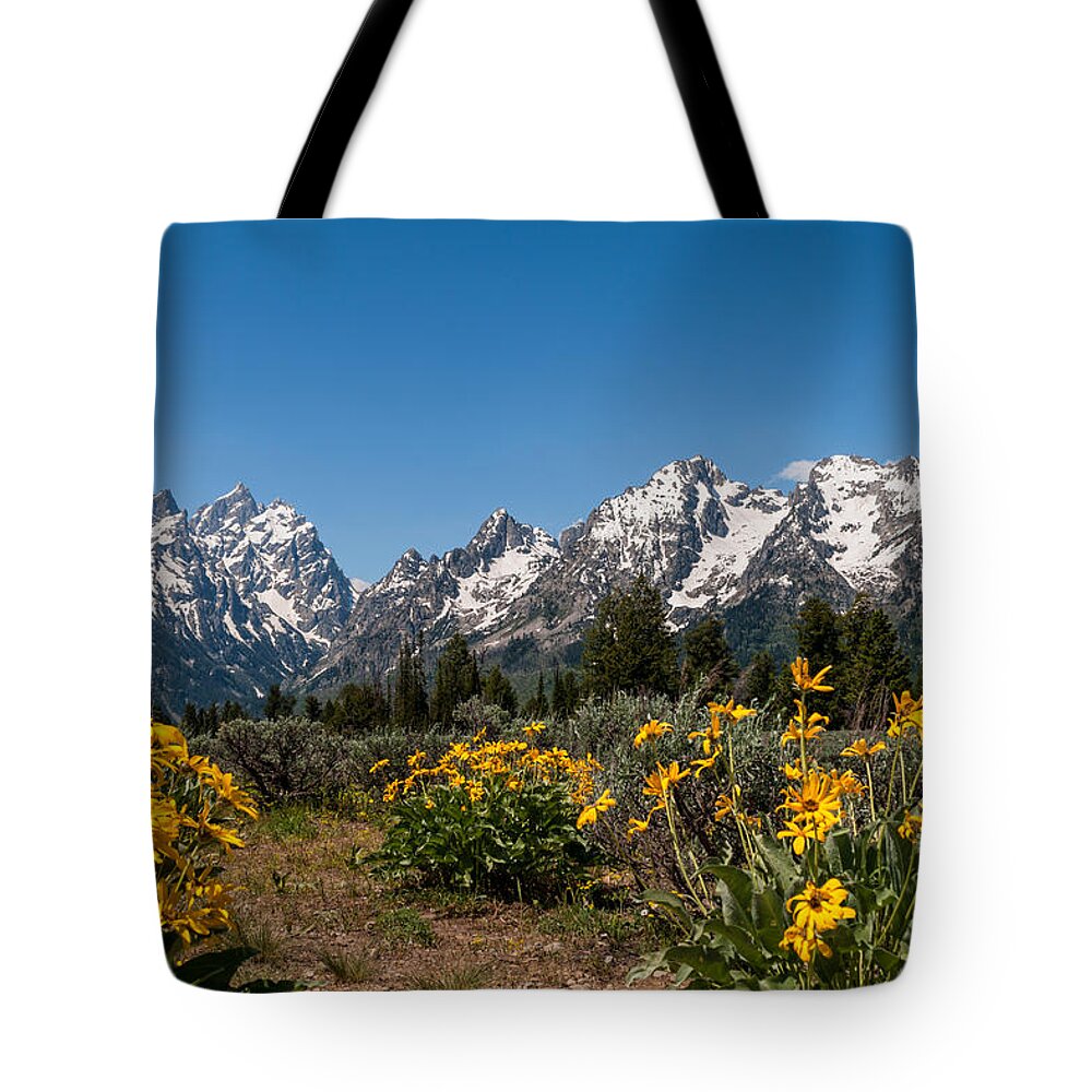 Grand Tetons Tote Bag featuring the photograph Grand Teton Arrow Leaf Balsamroot by Brian Harig