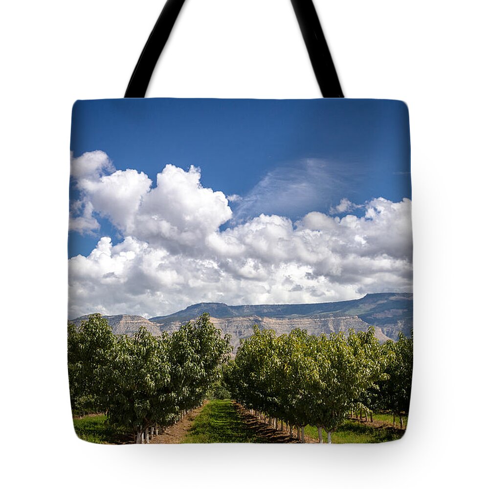 Colorado Tote Bag featuring the photograph Grand Valley Orchards by Teri Virbickis