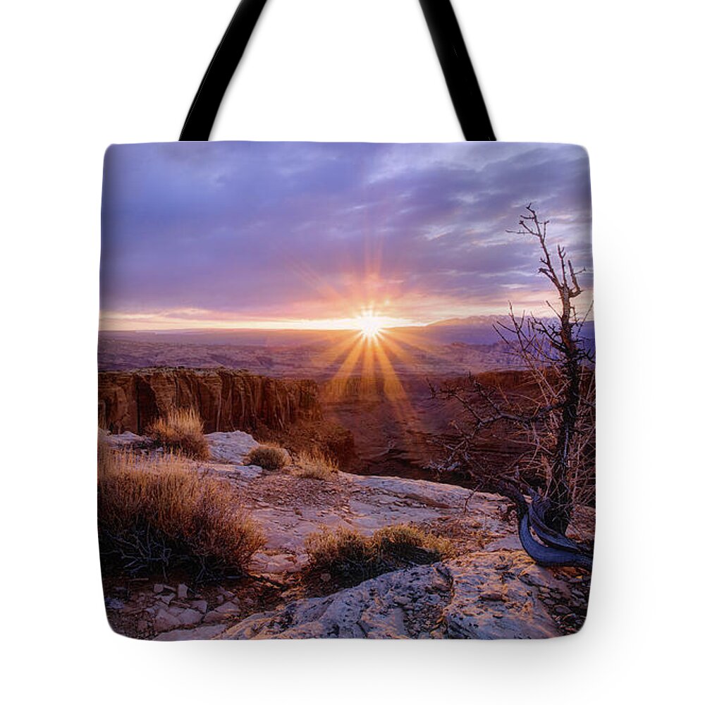Nature Tote Bag featuring the photograph Grandeur by Chad Dutson