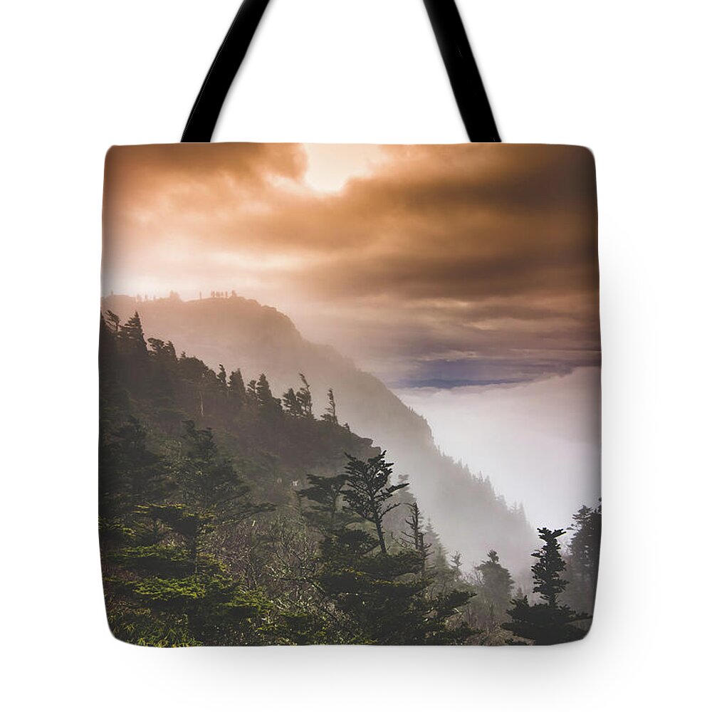 Mountain Landscape North Carolina Tote Bag featuring the painting Grandfather Mountain Blue Ridge Mountains of North Carolina by Gray Artus
