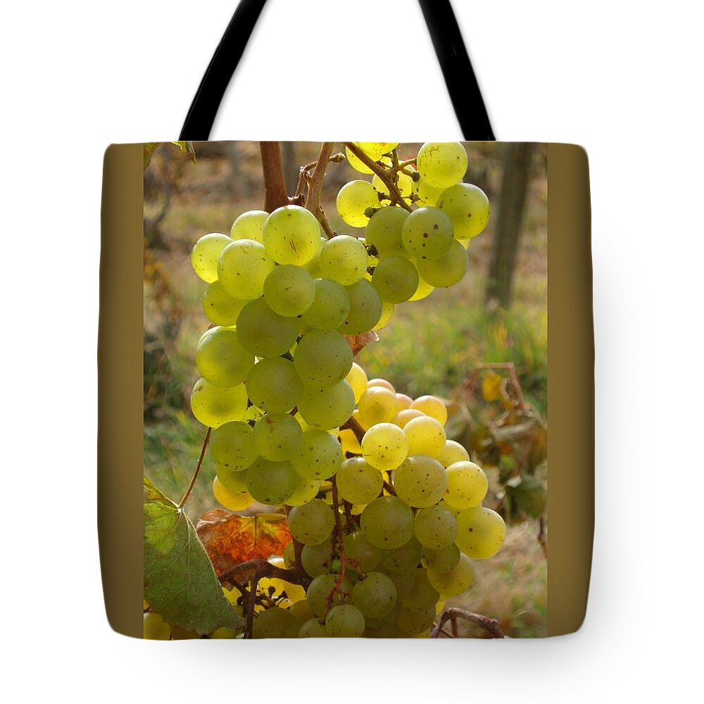 Grapes Tote Bag featuring the photograph Grape Spiral by Patricia Overmoyer