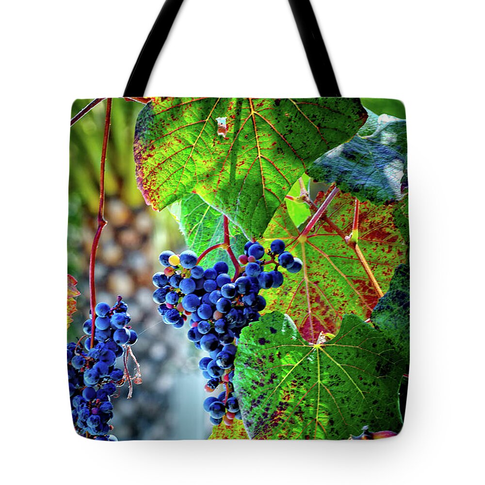 Grape Tote Bag featuring the photograph Grapes by Camille Lopez