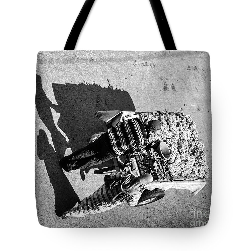 Jamaa El Fna Tote Bag featuring the photograph Grapes for Sale Casablanca by Chuck Kuhn