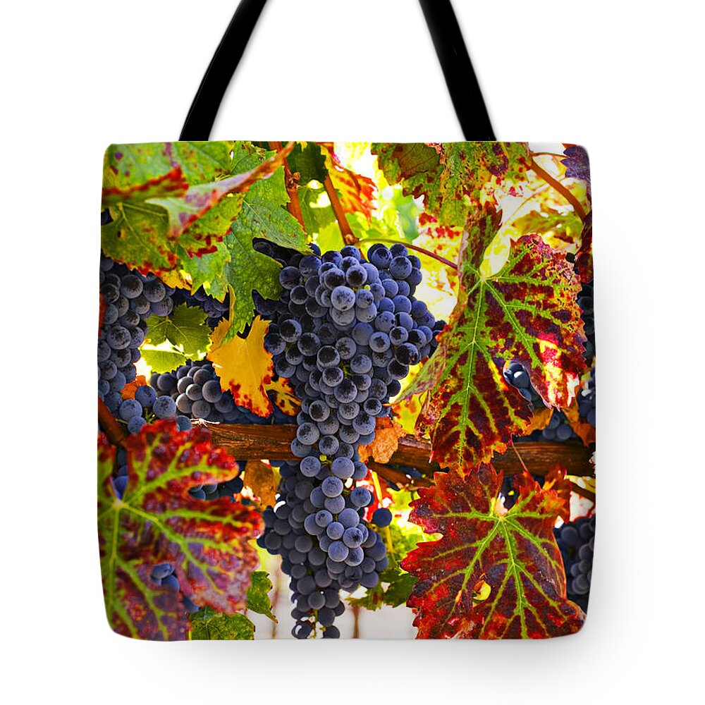 Grapes Tote Bag featuring the photograph Grapes on vine in vineyards by Garry Gay