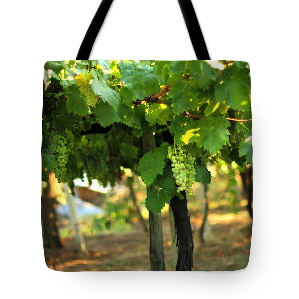 Vineyard Tote Bag featuring the photograph Grapevines 5 by Angela Rath