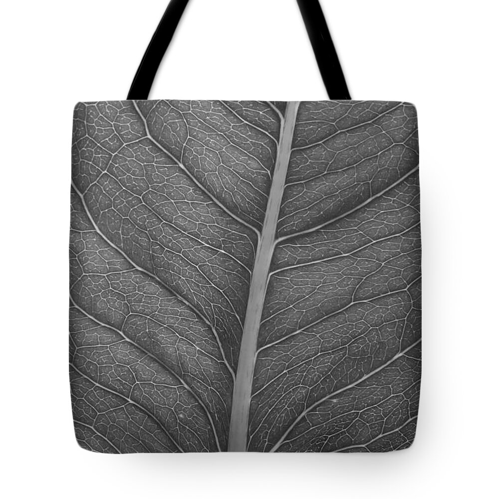 Black And White Leaf Tote Bag featuring the photograph Graphite Leaf by Anita Adams