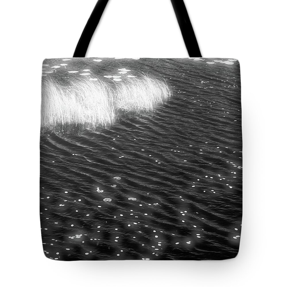 Black And White Tote Bag featuring the photograph Grass and Water and Lilly Pads BW2 by Lyle Crump