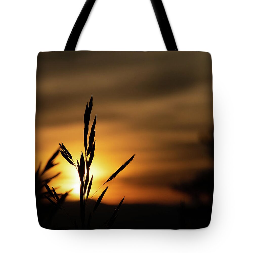 Sunset Tote Bag featuring the photograph Grass at Sunset by Kevin Schwalbe