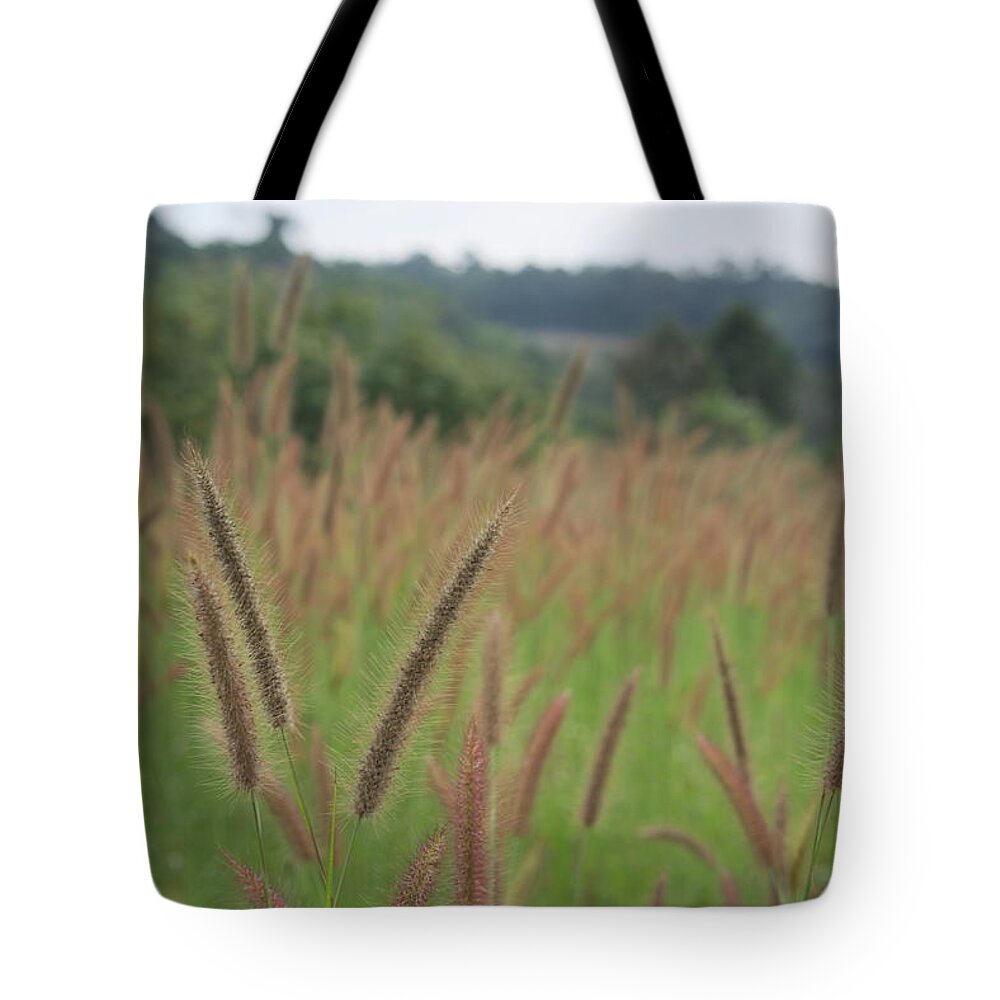 Thailand Tote Bag featuring the photograph Grass by Ivan Franklin