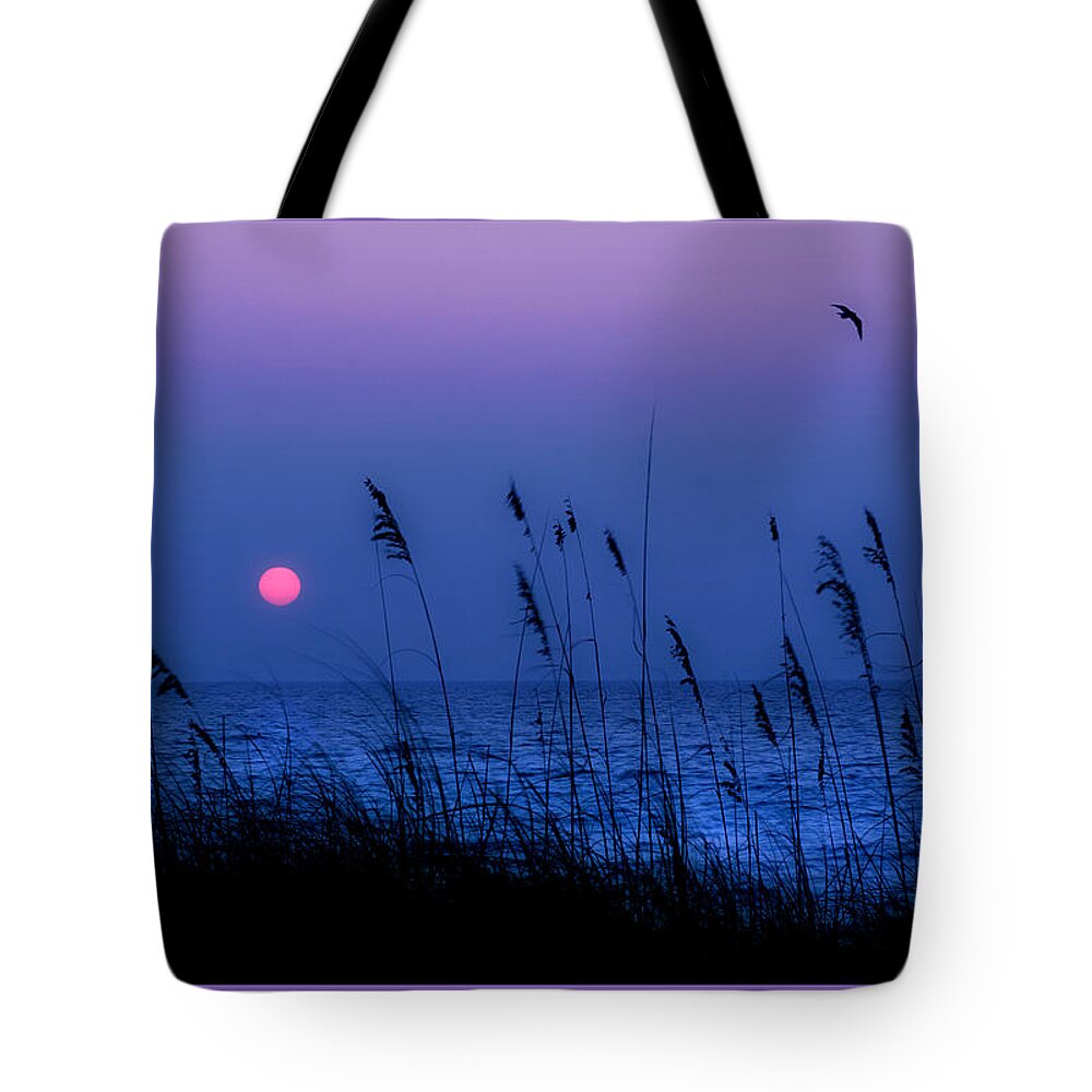  Grass Tote Bag featuring the photograph Grasses frame the setting sun in Florida by Mal Bray