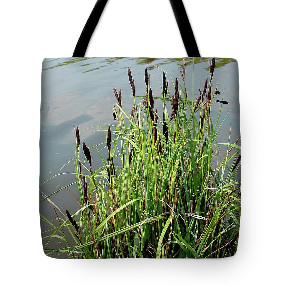 Europe Tote Bag featuring the photograph Grasses With Seed Heads by Rod Johnson
