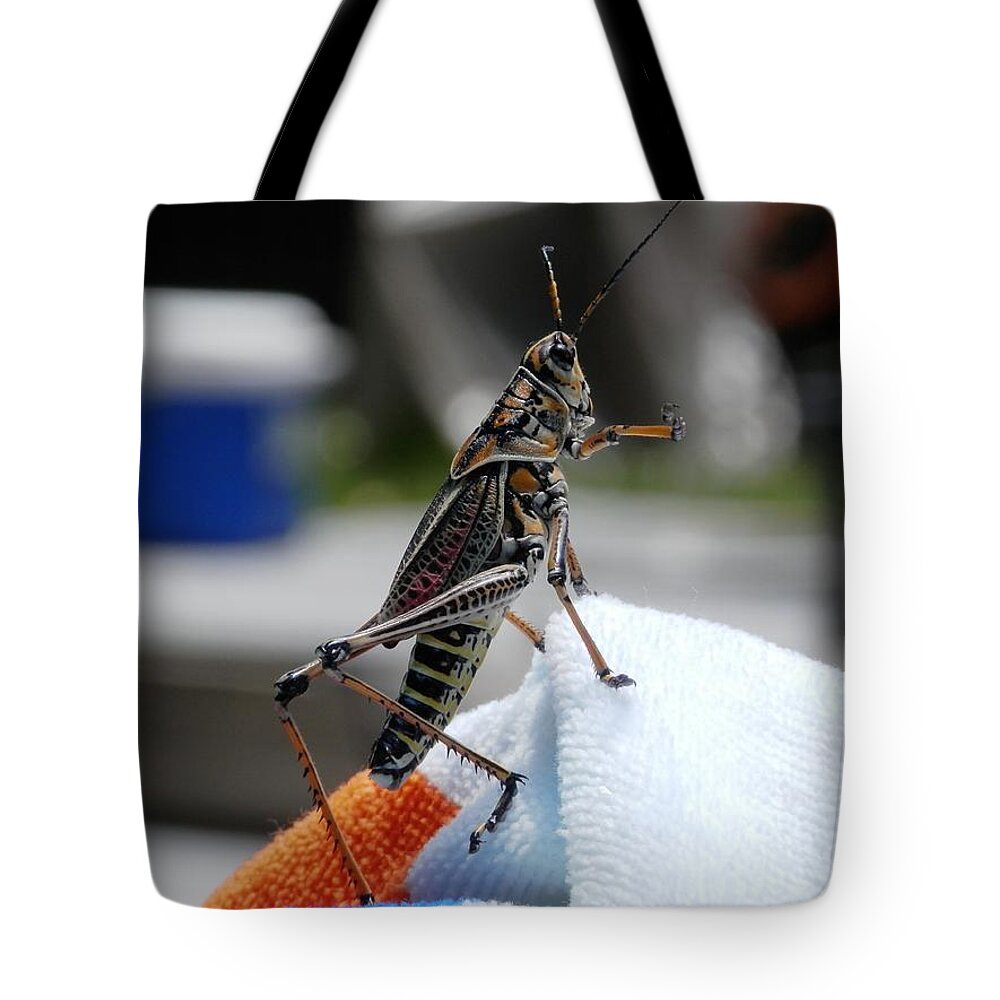 Amazing #colors Tote Bag featuring the photograph Dancing Grasshopper at the Pool by Belinda Lee
