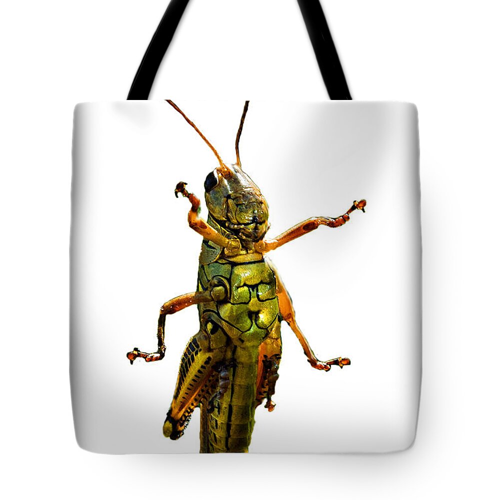 Nature Tote Bag featuring the photograph Grasshopper II by Gary Adkins