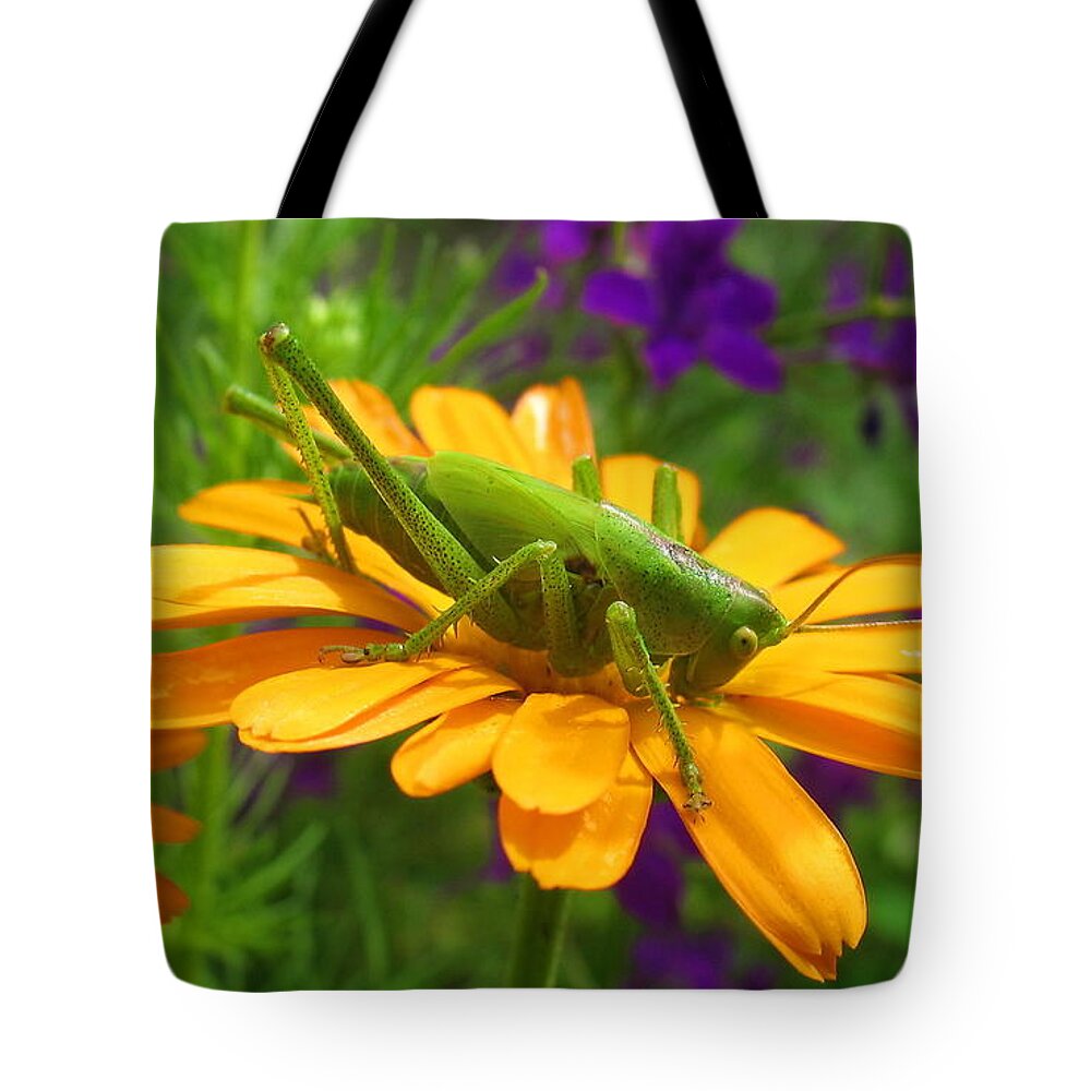 Grasshopper Tote Bag featuring the photograph Grasshopper by Jackie Russo