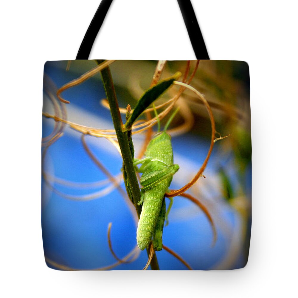 Grasshopper Tote Bag featuring the photograph Grassy Hopper by Chris Brannen