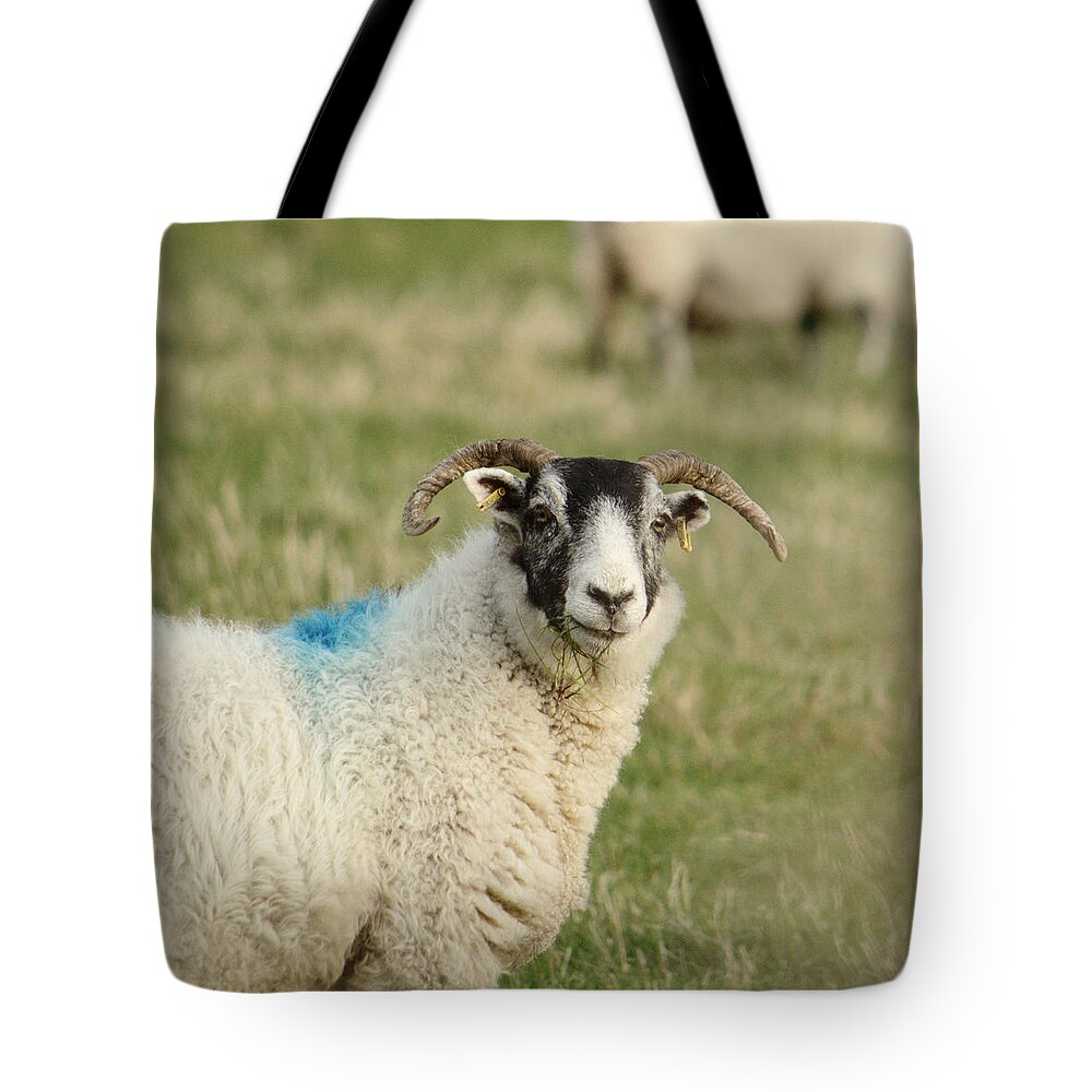 Grass Tote Bag featuring the photograph Grassy Mouth by Adrian Wale
