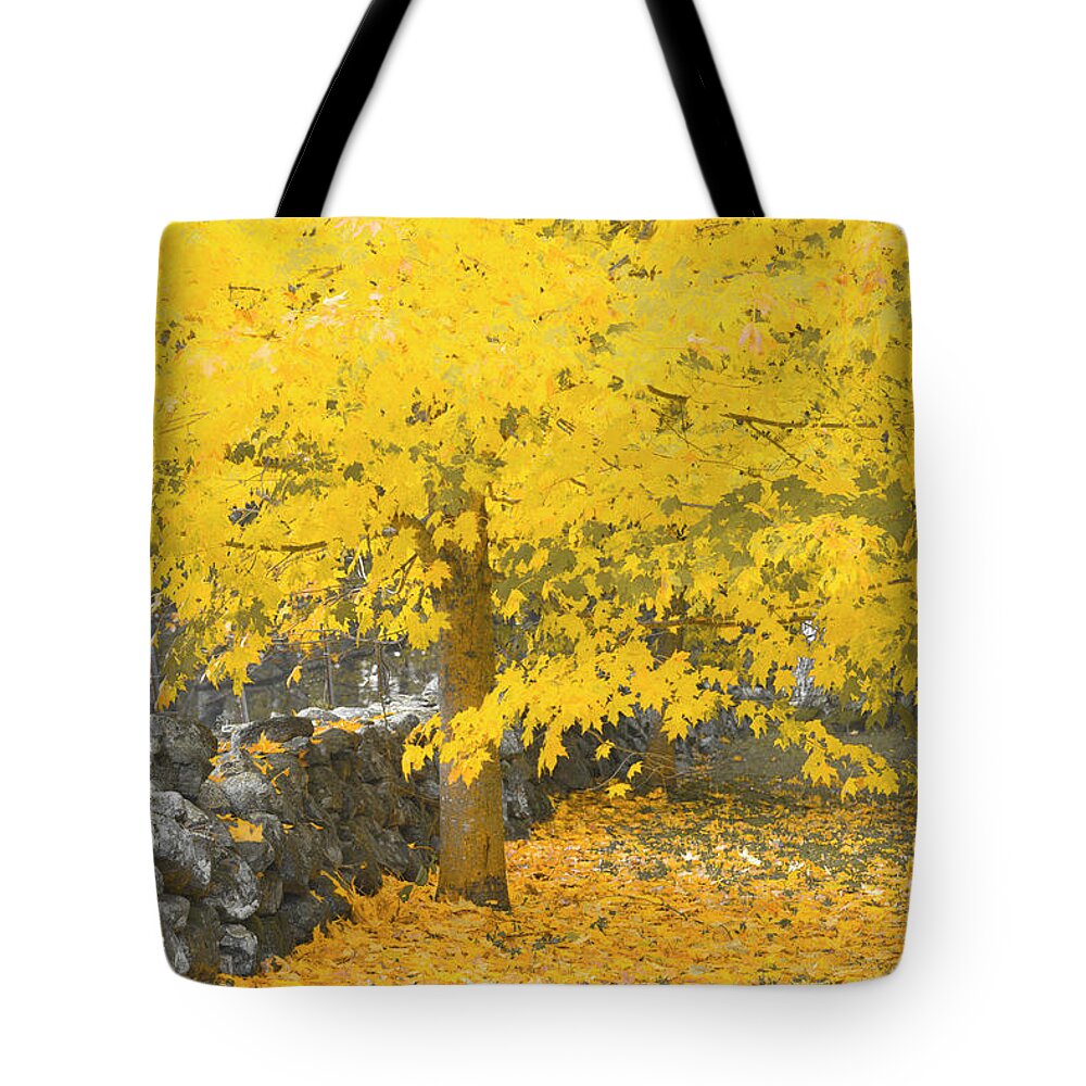 Fall. Maine Tote Bag featuring the photograph Gravitational Inevitability by Jeff Cooper