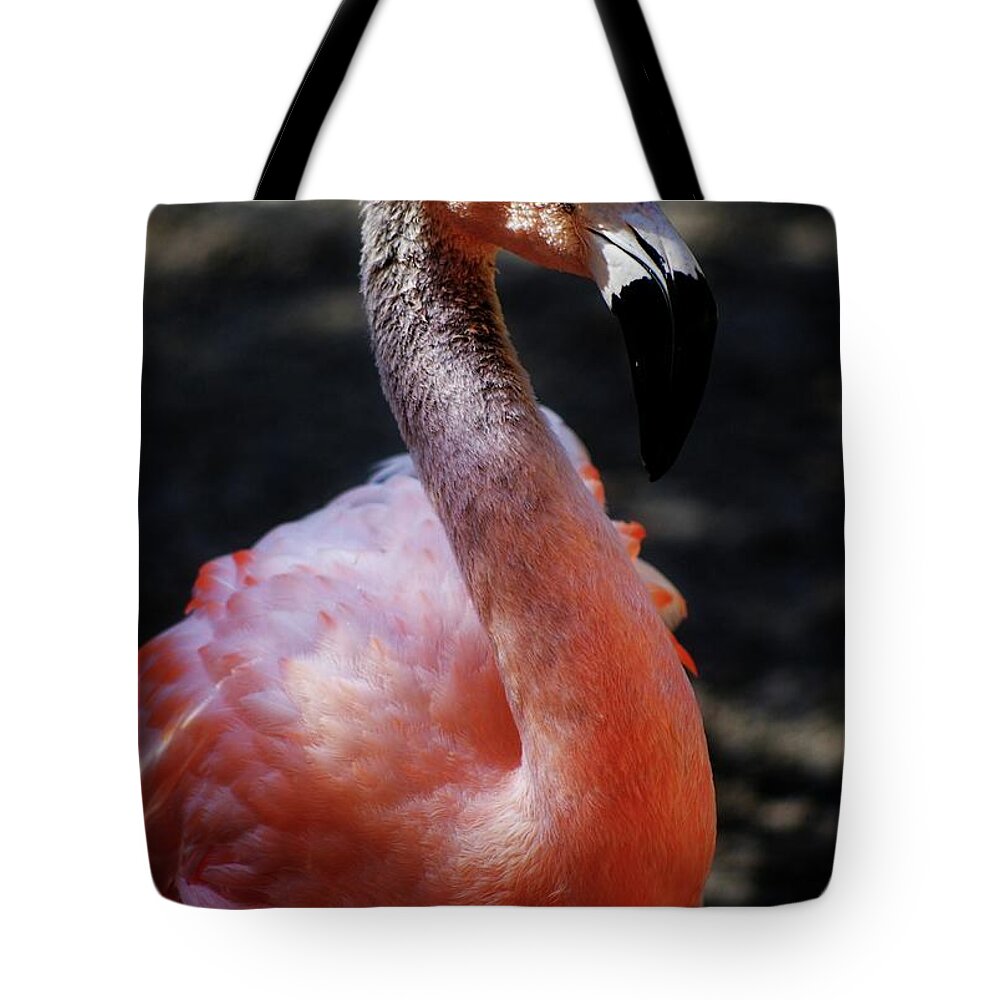 Flamingo Tote Bag featuring the photograph Gray Flamingo by Stoney Lawrentz