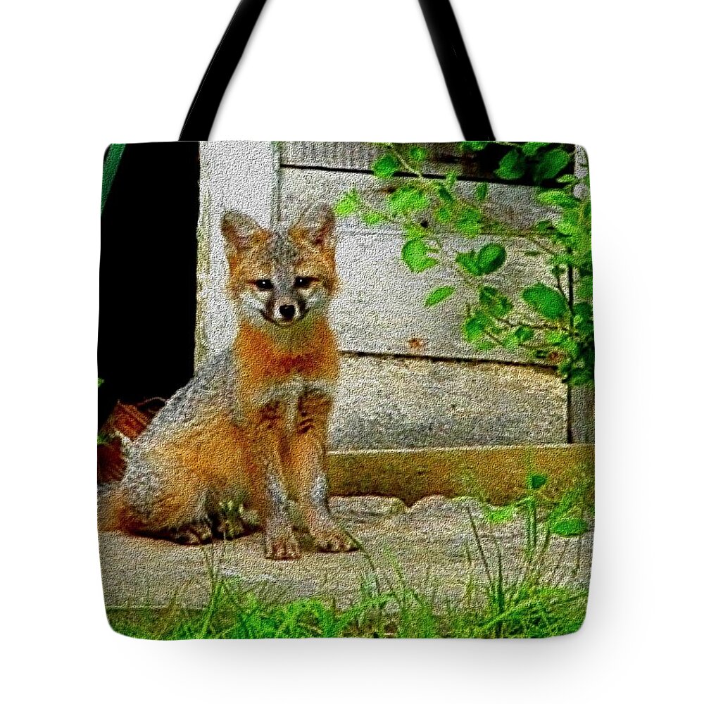 Fox Tote Bag featuring the painting Gray Fox Kit by Cliff Wilson