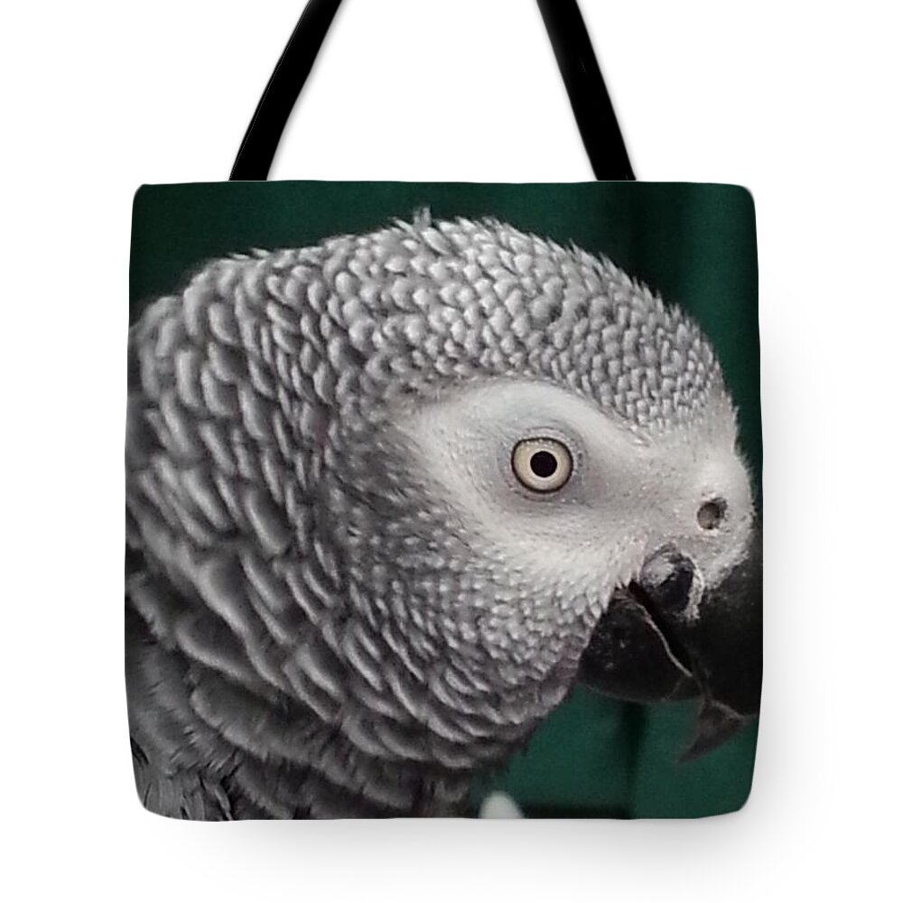 Parrot Tote Bag featuring the photograph Gray Parrot by Maria Aduke Alabi