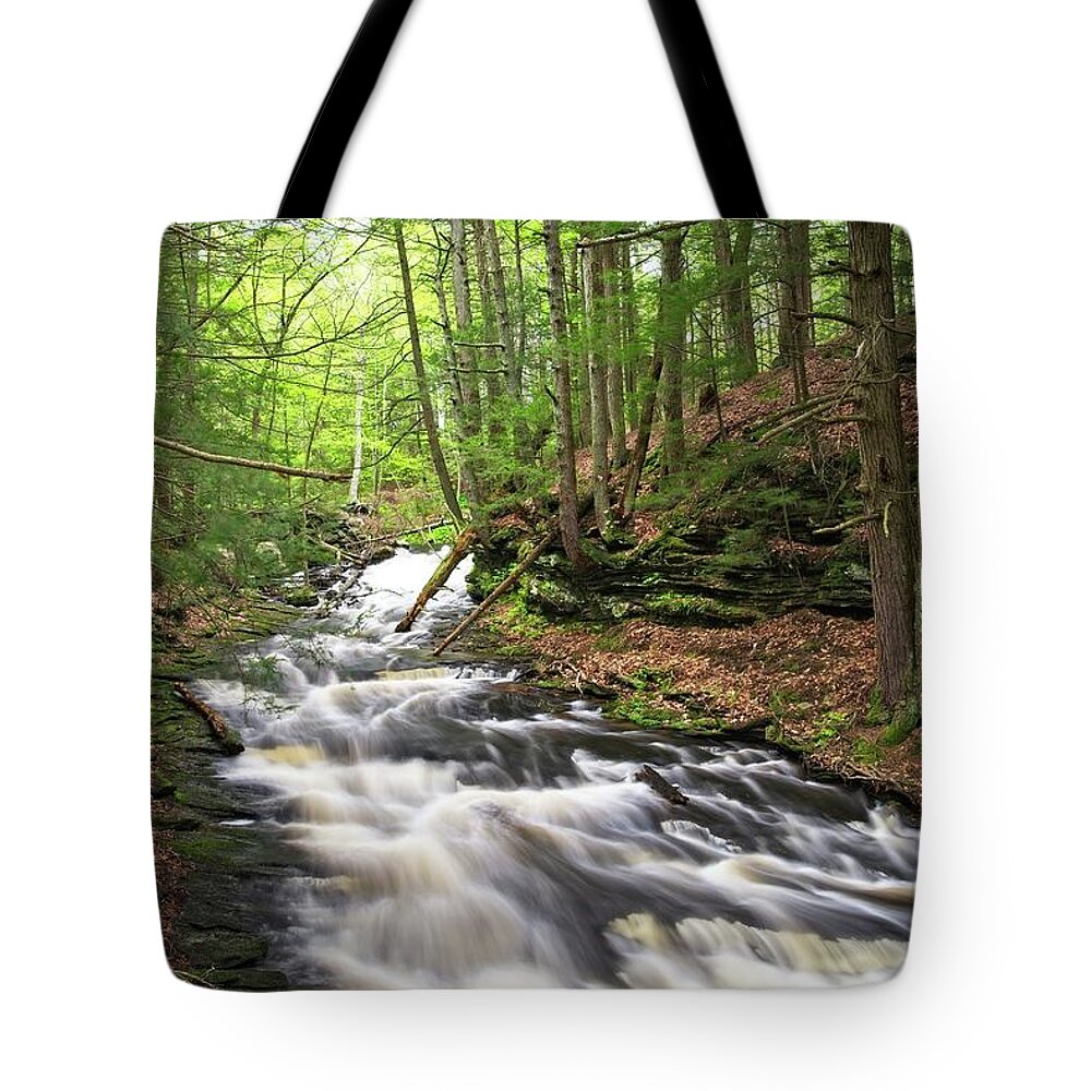 Waterfall Tote Bag featuring the photograph Grayville Cascades by Allan Van Gasbeck
