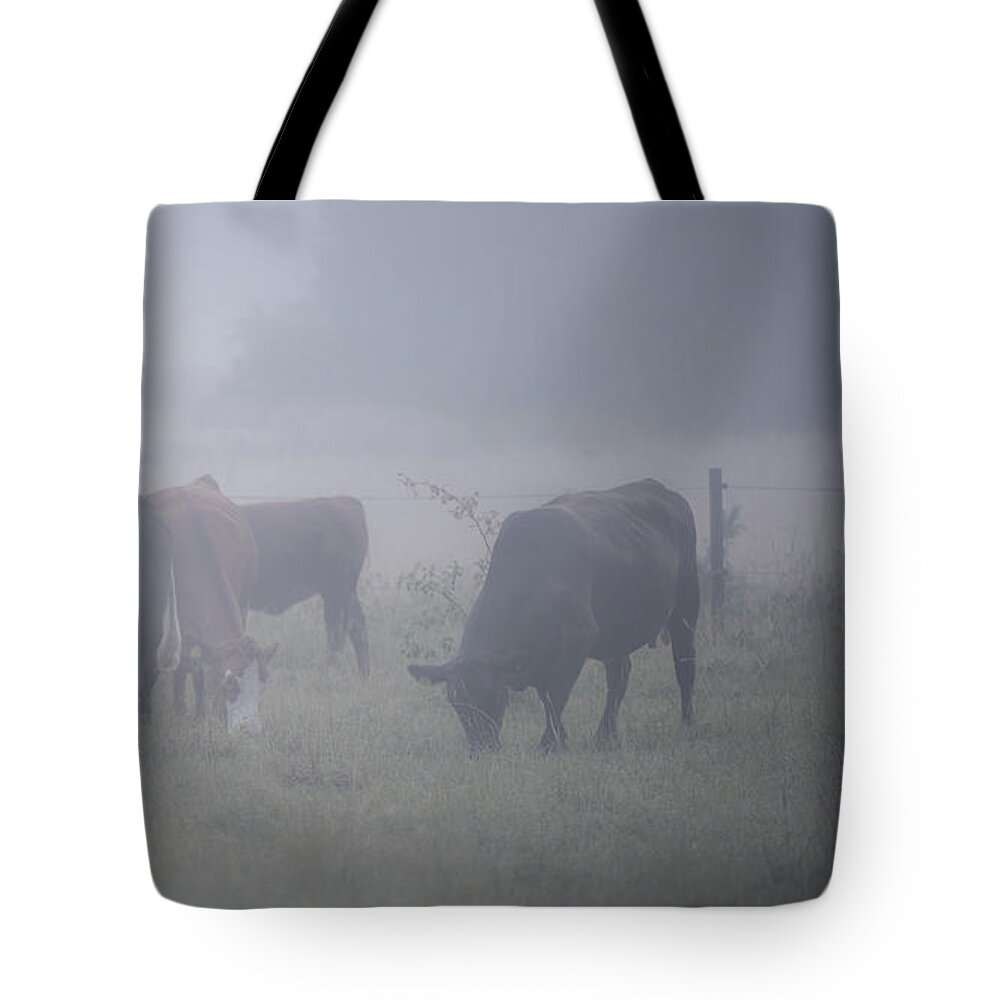 Cows Tote Bag featuring the photograph Grazing cows in the mist by Torbjorn Swenelius