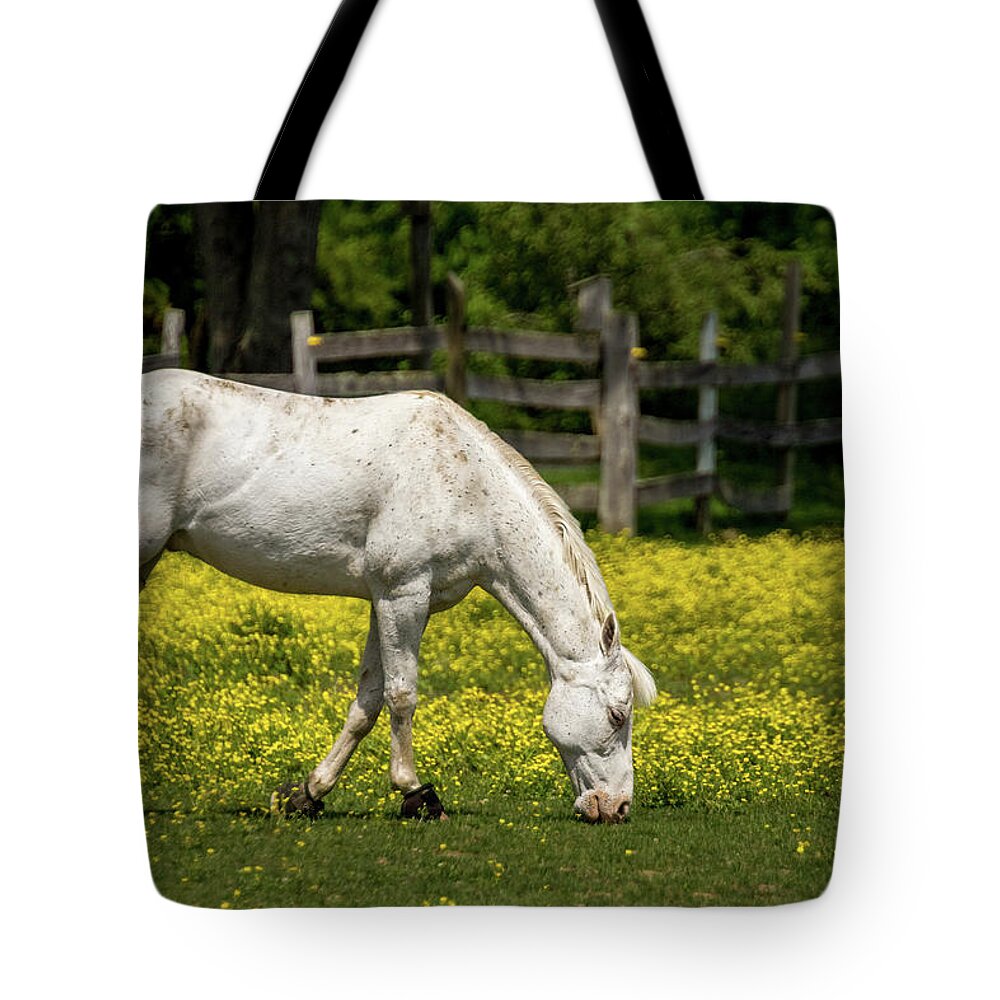 Country Tote Bag featuring the photograph Grazing White Horse by Ron Pate