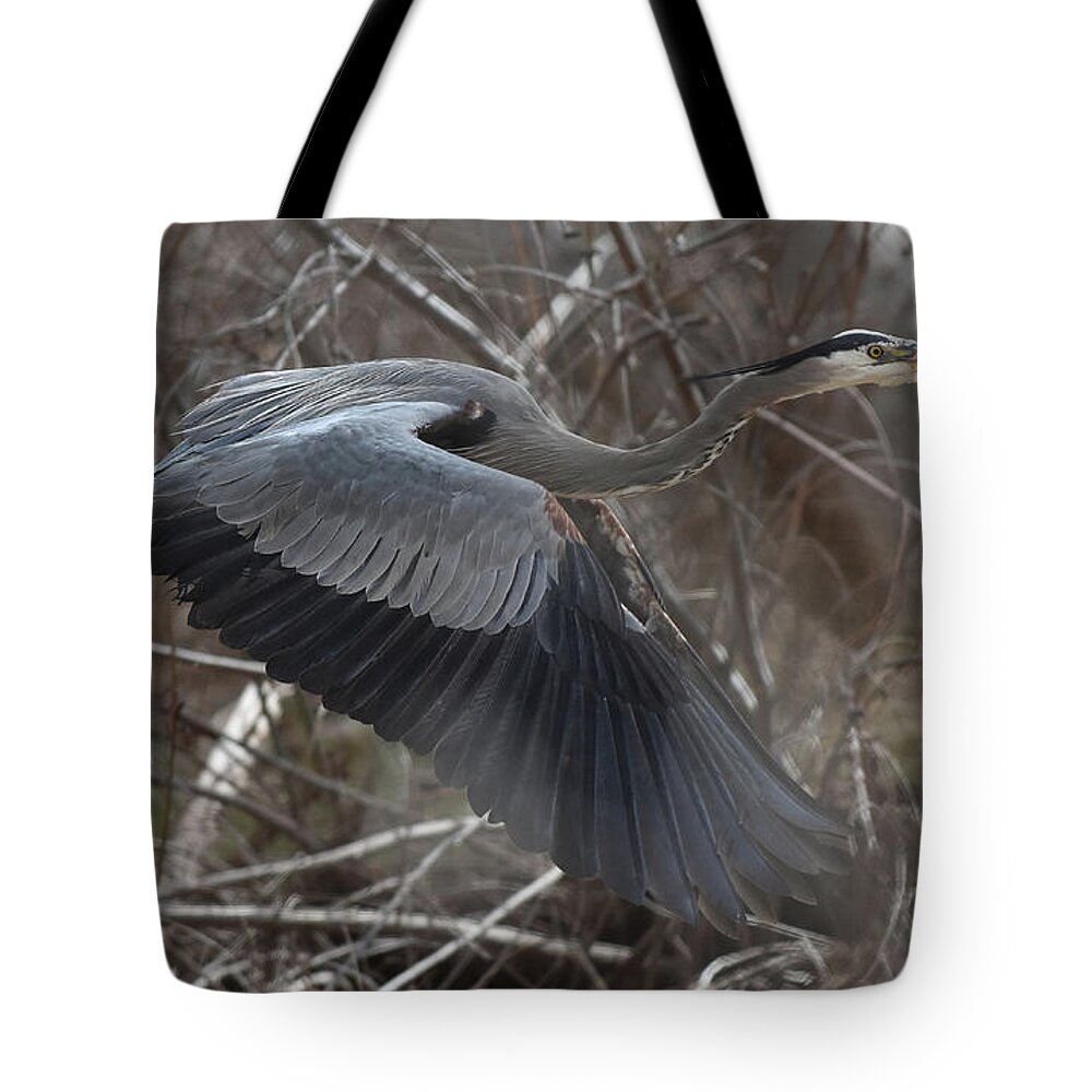 Heron Tote Bag featuring the photograph Great Blue Getaway by Ben Foster