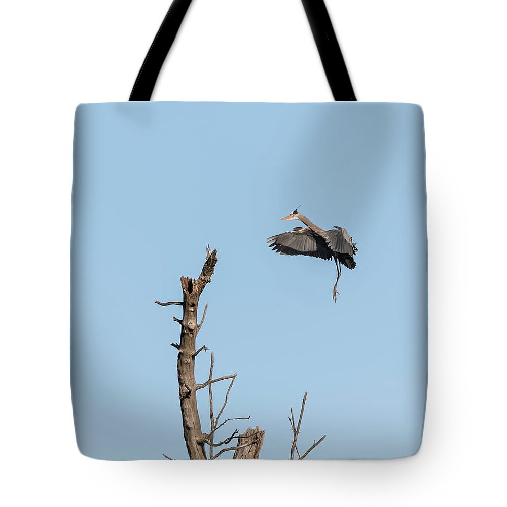 Great Blue Heron Tote Bag featuring the photograph Great Blue Heron 2017-3 by Thomas Young