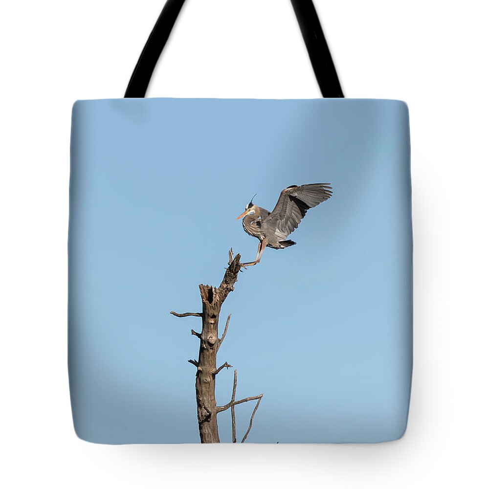 Great Blue Heron Tote Bag featuring the photograph Great Blue Heron 2017-4 by Thomas Young