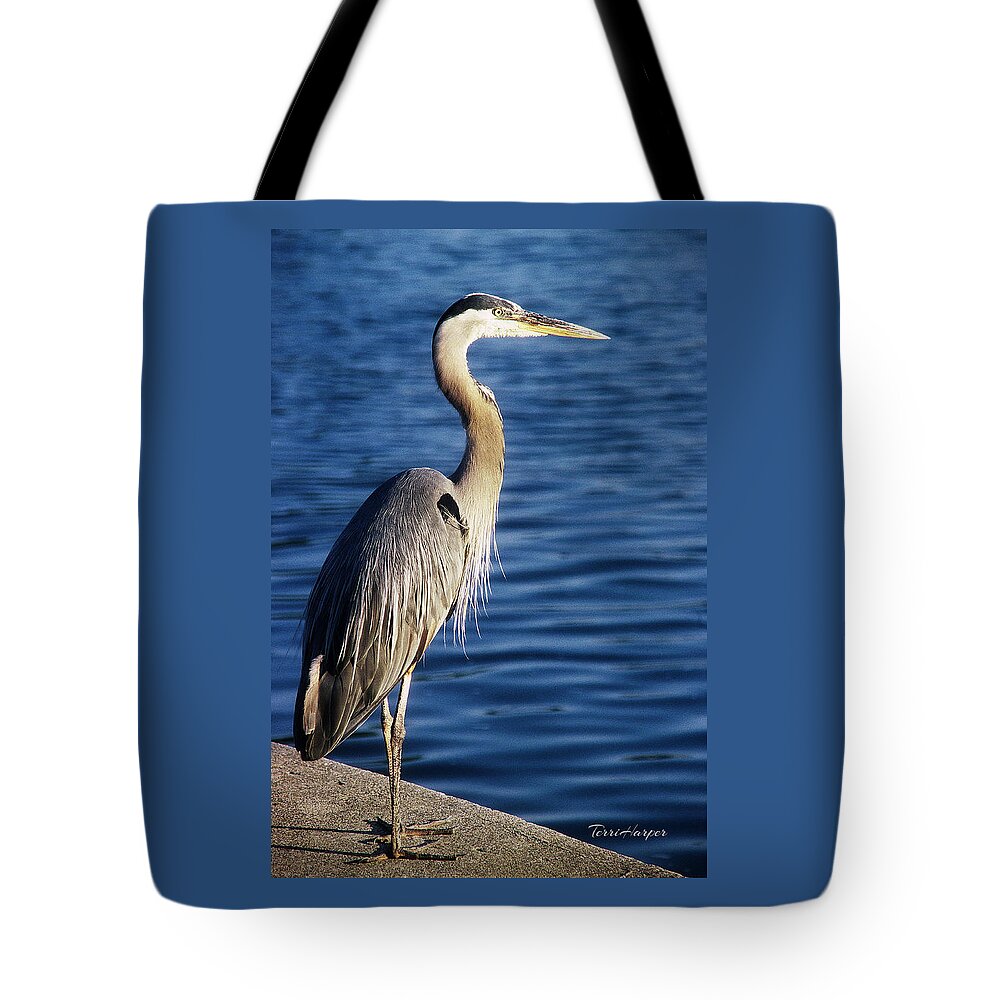 Great Blue Heron Tote Bag featuring the photograph Great Blue Heron At Put-in-Bay by Terri Harper