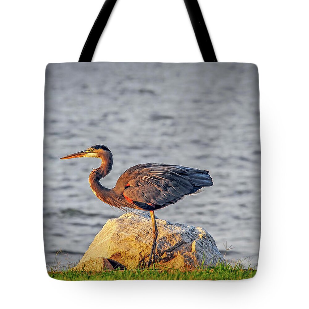 Ardea Herodias Tote Bag featuring the photograph Great Blue Heron at sunset by Patrick Wolf