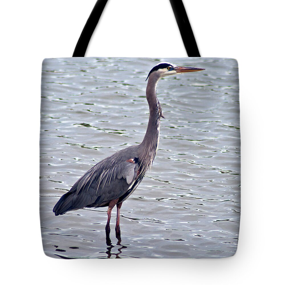 Great Blue Heron Tote Bag featuring the photograph Great Blue Heron by Bill Barber