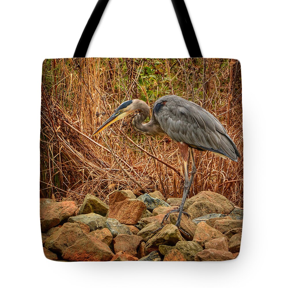 Bald Eagles Tote Bag featuring the photograph Great Blue Heron I by Kathi Isserman