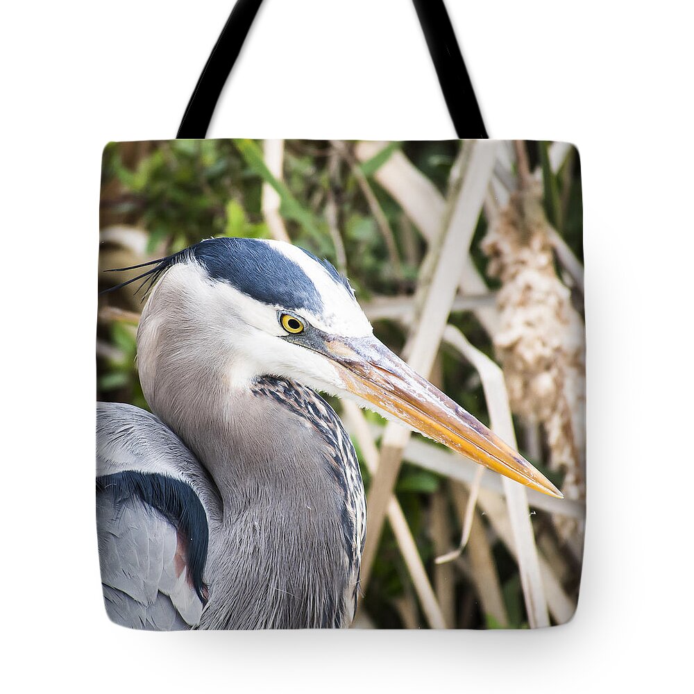 Great Blue Heron Tote Bag featuring the photograph Great Blue Heron by Ian Johnson
