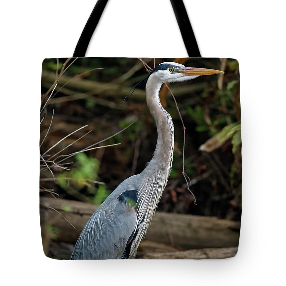 Great Blue Heron Tote Bag featuring the photograph Great Blue Heron in Florida Swamp by Natural Focal Point Photography