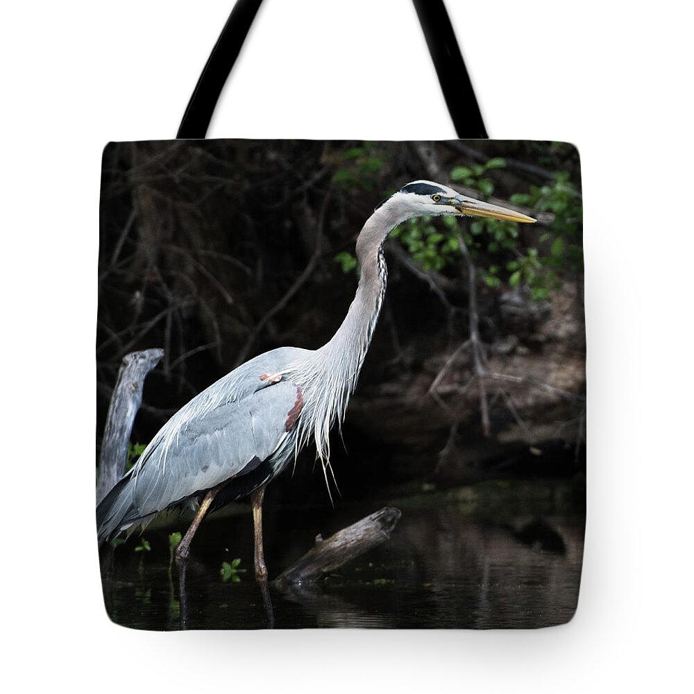 Wading Tote Bag featuring the photograph Great Blue Heron by Michael Hall