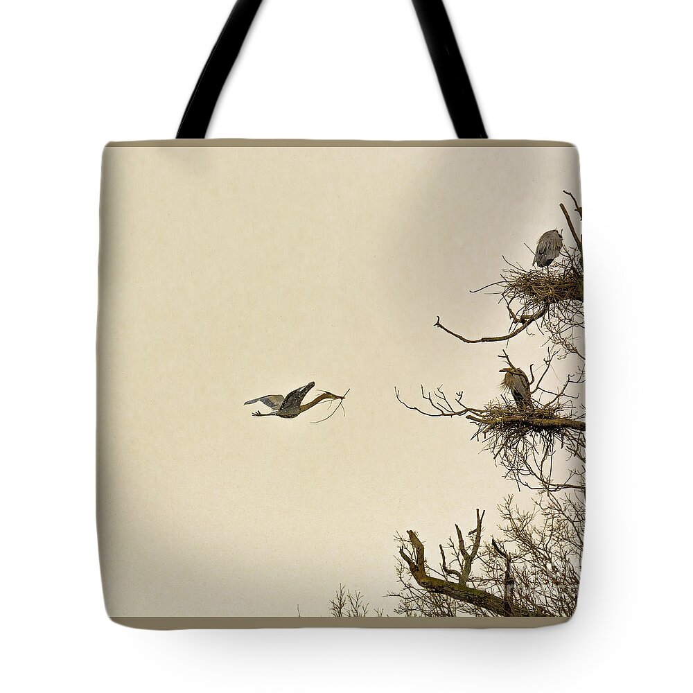 Great Blue Heron Tote Bag featuring the photograph Great Blue Heron Nest Building by Randy J Heath