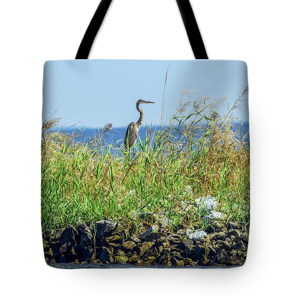 Ardea Herodias Tote Bag featuring the photograph Great Blue Heron on jetty by Patrick Wolf