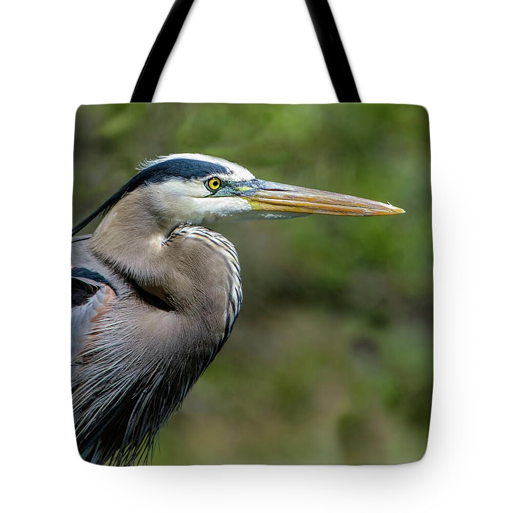 Ardea Herodias Tote Bag featuring the photograph Great Blue Heron Portrait by Dawn Key
