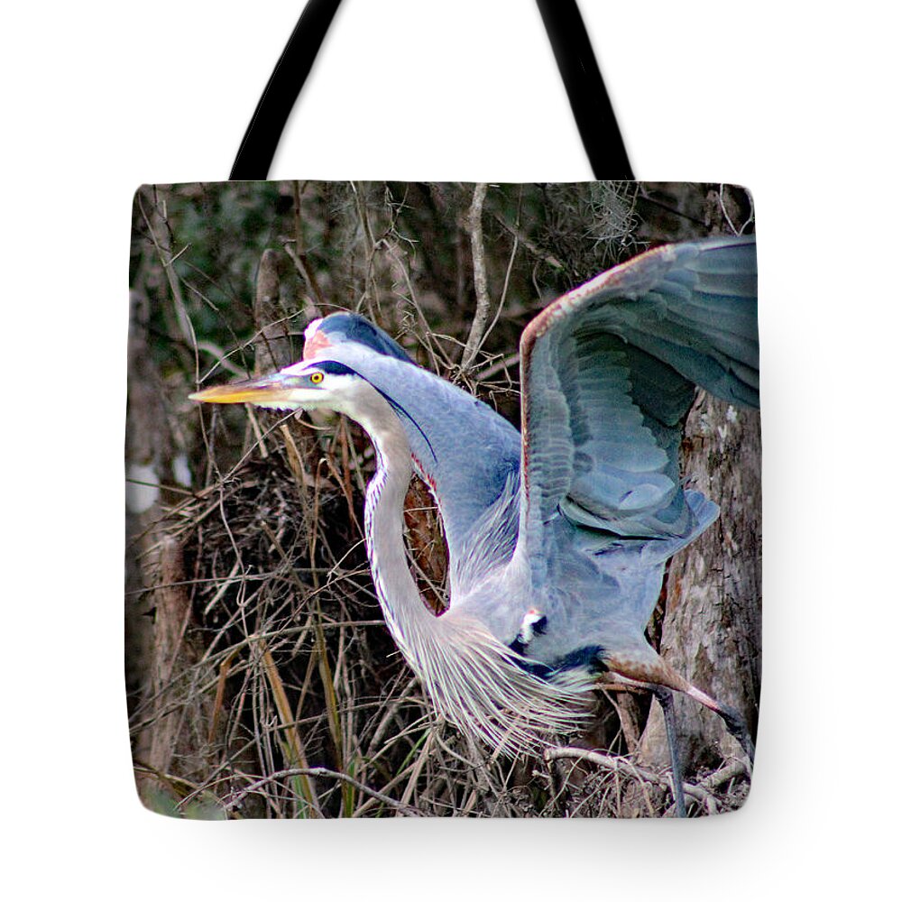 Nature Tote Bag featuring the photograph Great Blue Heron - Signed by DB Hayes