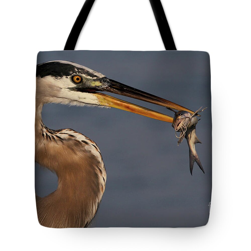 Great Blue Heron Tote Bag featuring the photograph Great Blue Heron w/Catfish by Meg Rousher