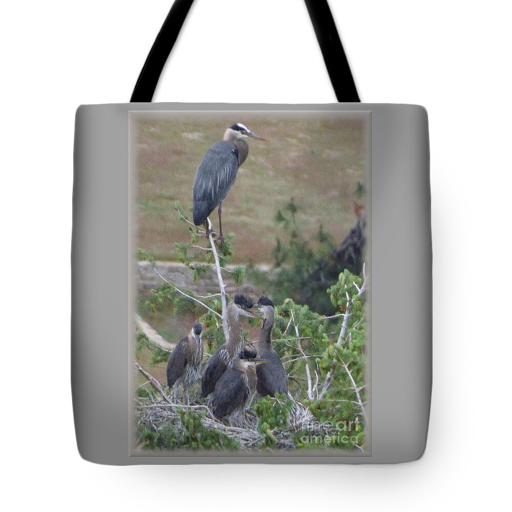 Great Blue Heron Tote Bag featuring the photograph Great Blue Heron Watching over Nest by Charles Robinson