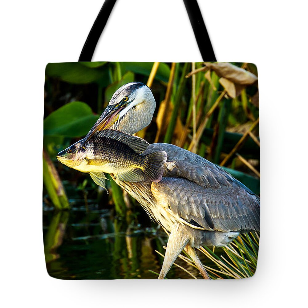 Great Blue Heron Tote Bag featuring the photograph Great Blue Heron with Fish by Ben Graham