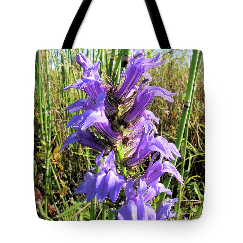 Flower Tote Bag featuring the photograph Great Blue Lobelia by Scott Kingery