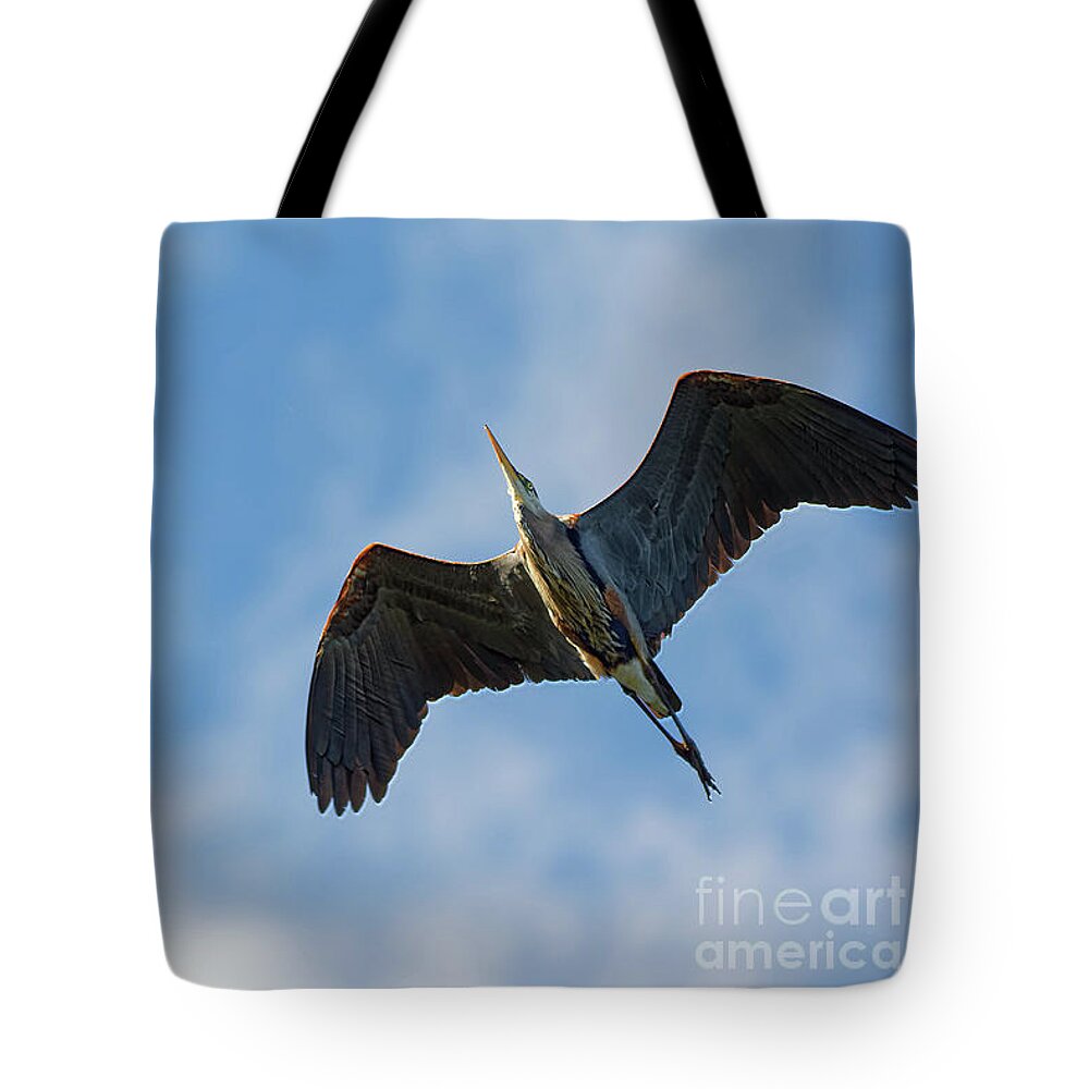 Heron Tote Bag featuring the photograph Great Blue Yonder by Natural Focal Point Photography