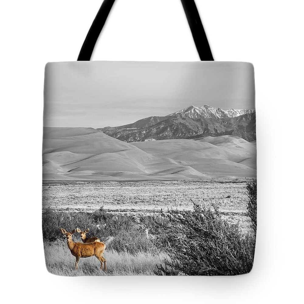 Wildlife Tote Bag featuring the photograph Great Colorado Sand Dunes Deer by James BO Insogna