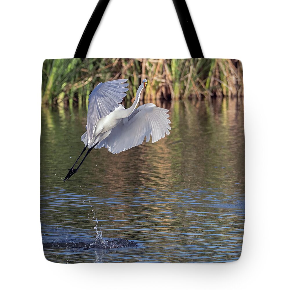 Great Tote Bag featuring the photograph Great Egret 5907-021018-2cr by Tam Ryan