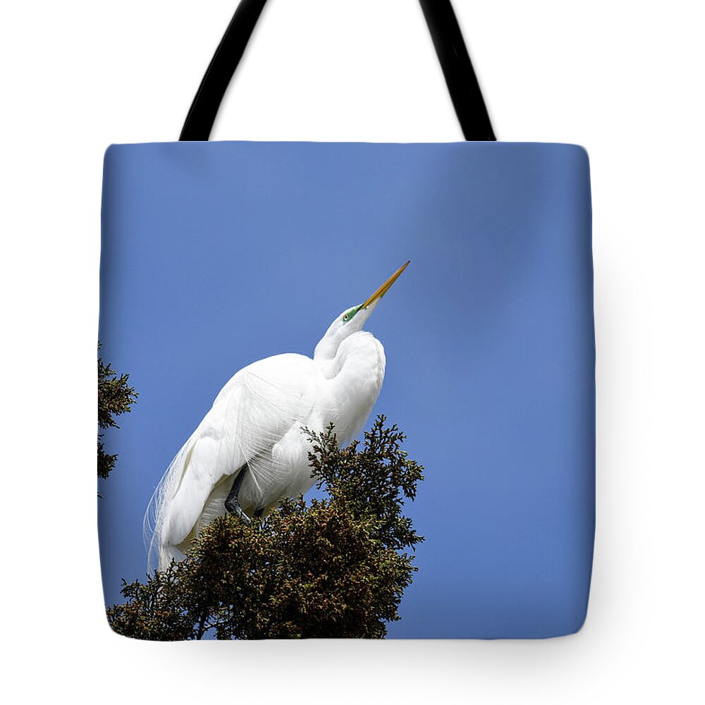 Birds Tote Bag featuring the photograph Great Egret by Gary Wightman