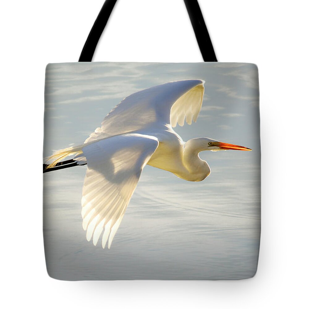 Wildlife Tote Bag featuring the photograph Great Egret Glow by Brian Tada